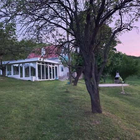 Honey Hill Apartment Fruska Gora Cerevic Eksteriør billede