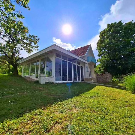 Honey Hill Apartment Fruska Gora Cerevic Eksteriør billede