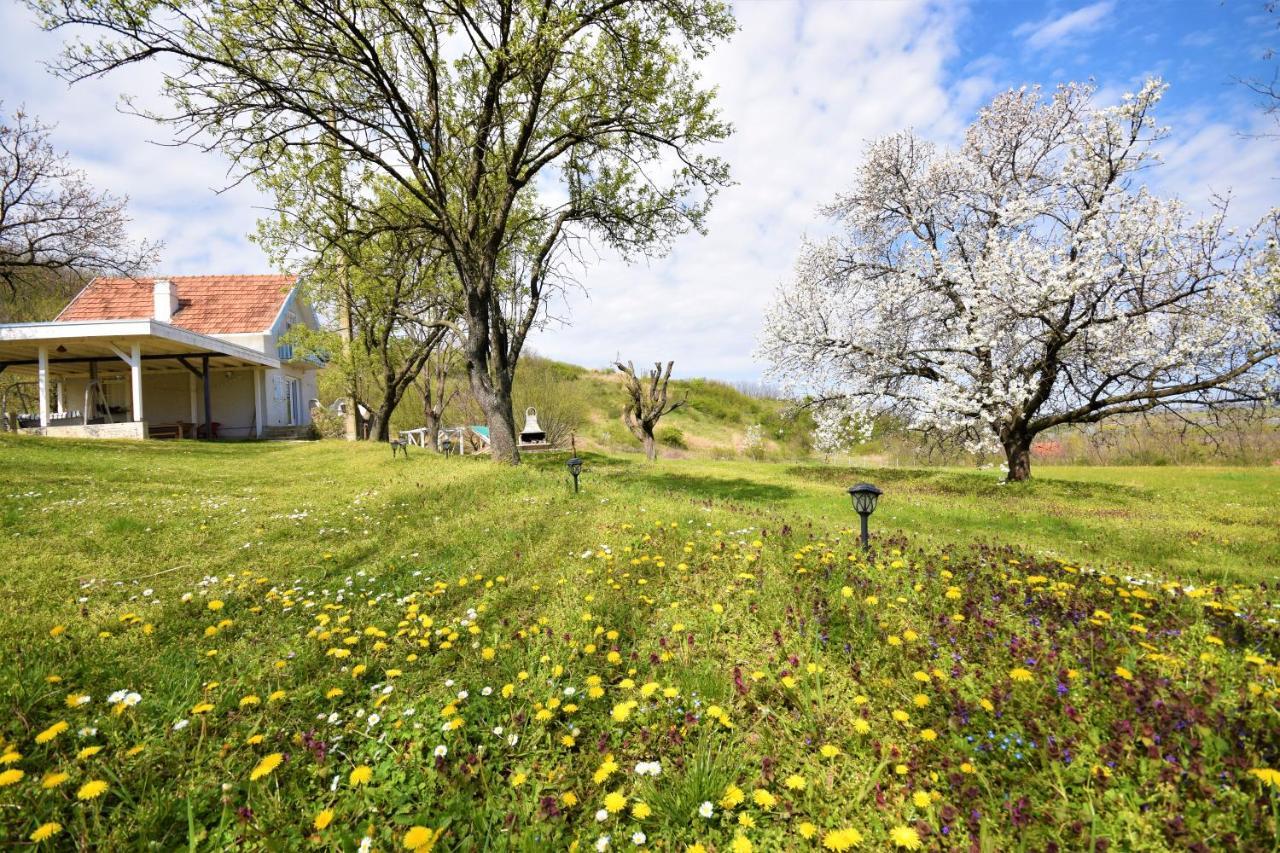 Honey Hill Apartment Fruska Gora Cerevic Eksteriør billede