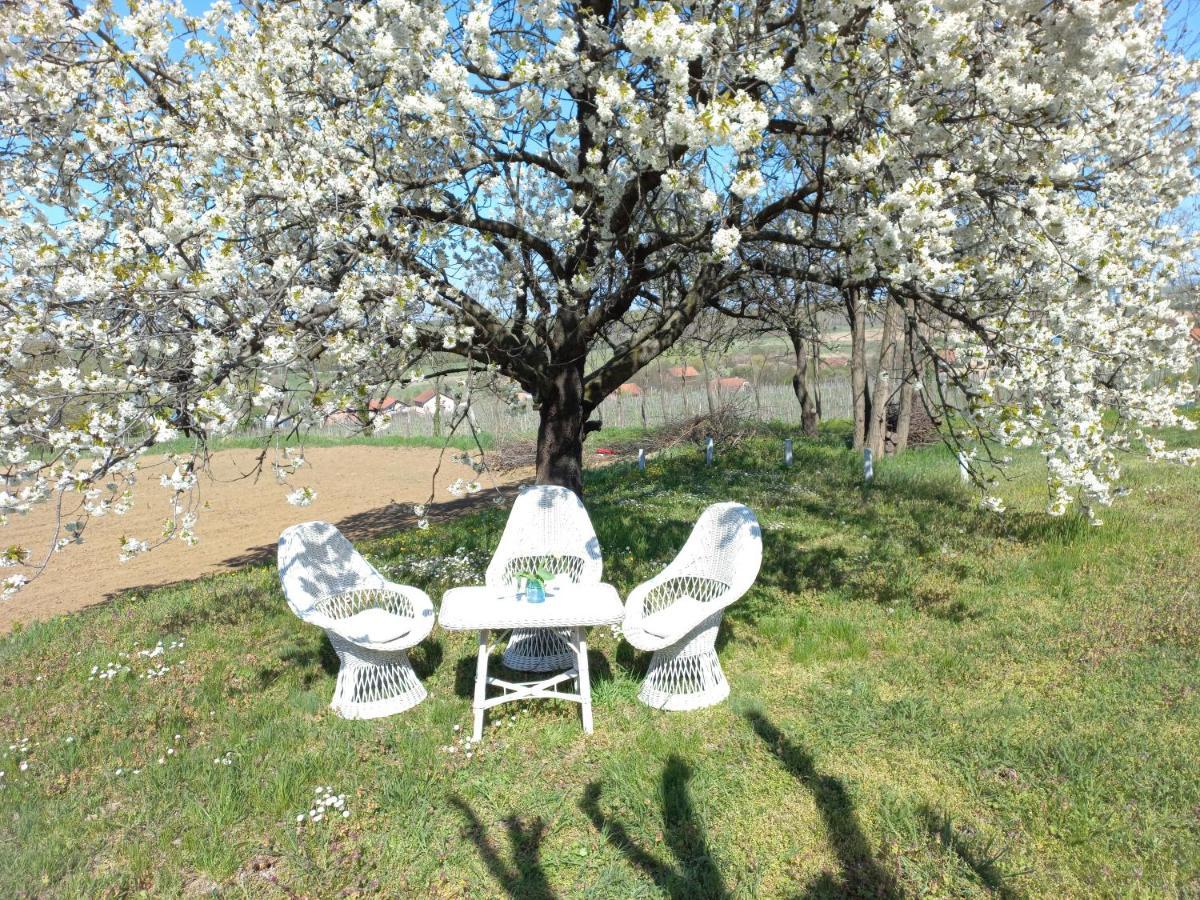 Honey Hill Apartment Fruska Gora Cerevic Eksteriør billede