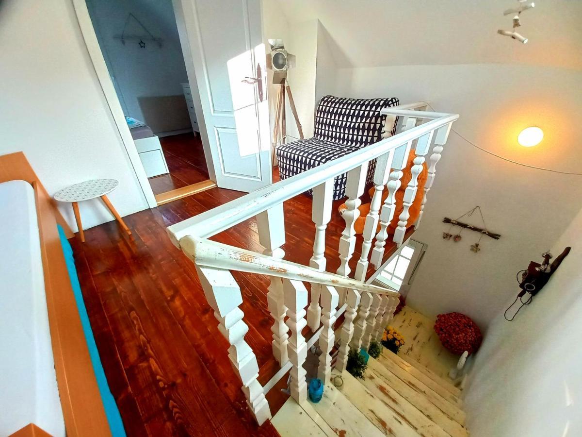 Honey Hill Apartment Fruska Gora Cerevic Eksteriør billede