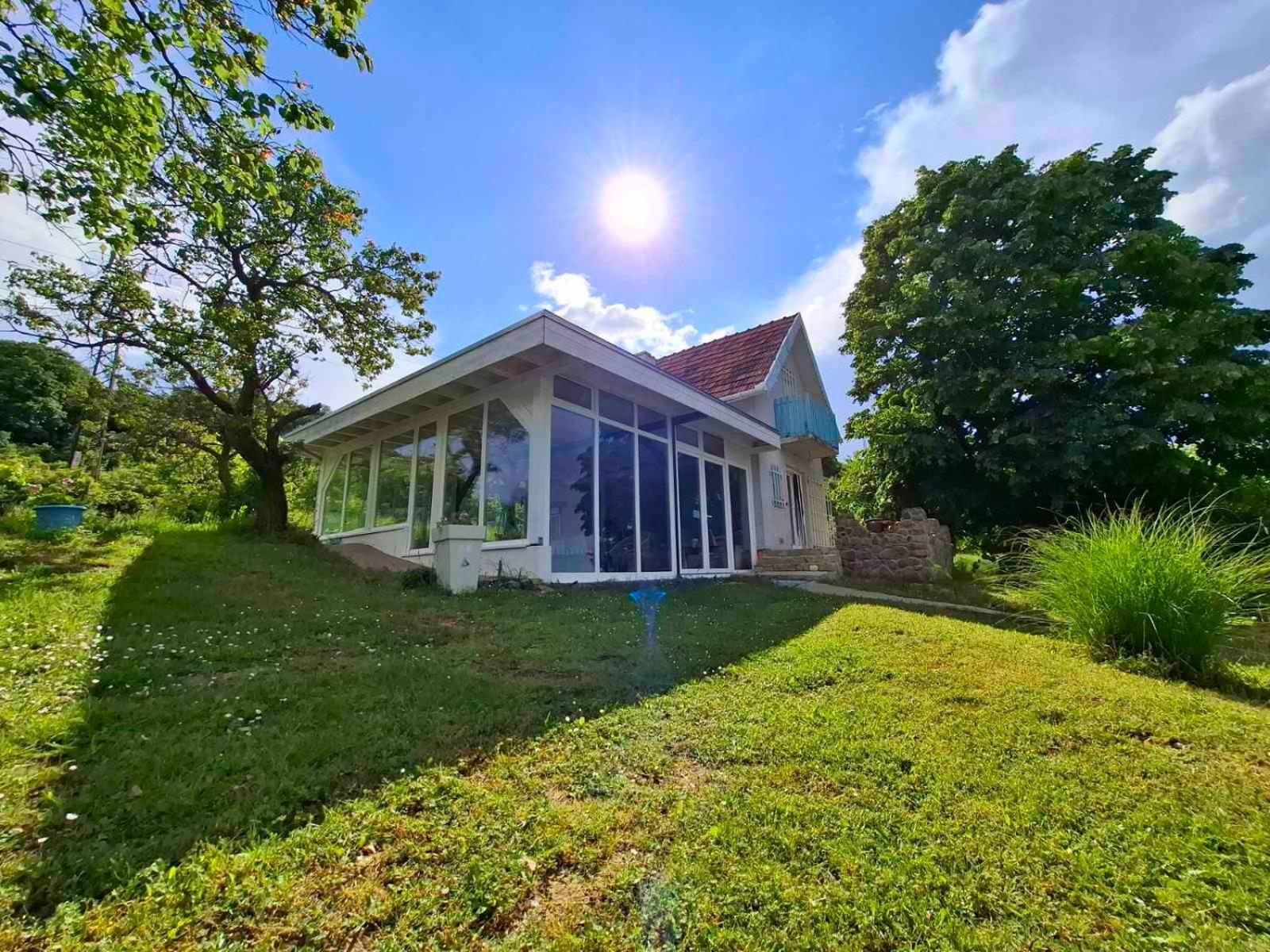 Honey Hill Apartment Fruska Gora Cerevic Eksteriør billede